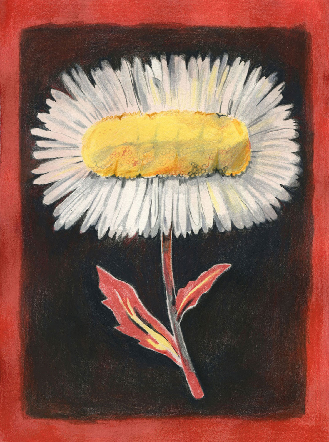 Fasciation, I — Coloured pencil and egg tempera on paper, 28,5 x 21 cm (2023)