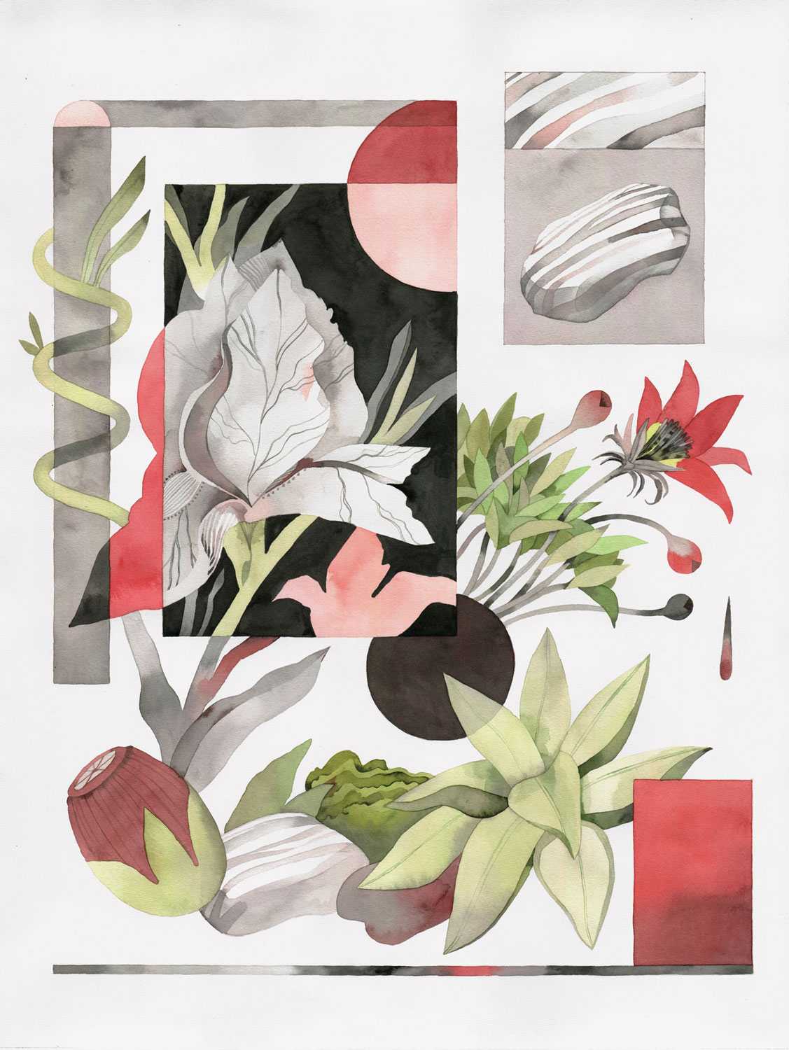 Inside the Garden, II — Watercolour on paper, 56 x 41 cm (2023)